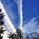 Image for article titled Airplane Contrails Have Surprising Effect on the Atmosphere